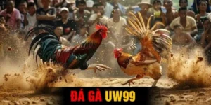da ga uw99 1