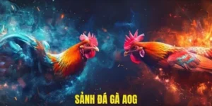 sanh ga aog 1